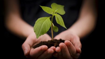 Gübre ve Faydaları 