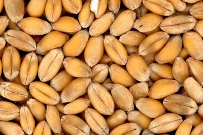 Demo Ürün Başlığı 8