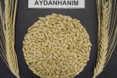 Demo Ürün Başlığı 8