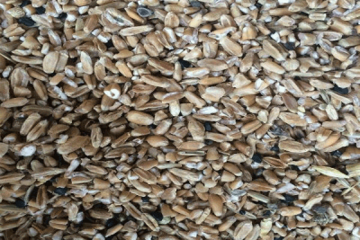 Demo Ürün Başlığı 8