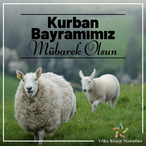 Demo Ürün Başlığı 8